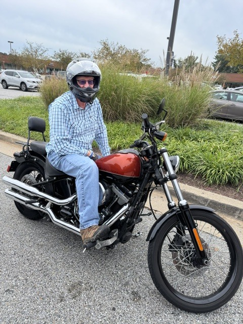 2011 Harley-Davidson Blackline in Annapolis, MD
