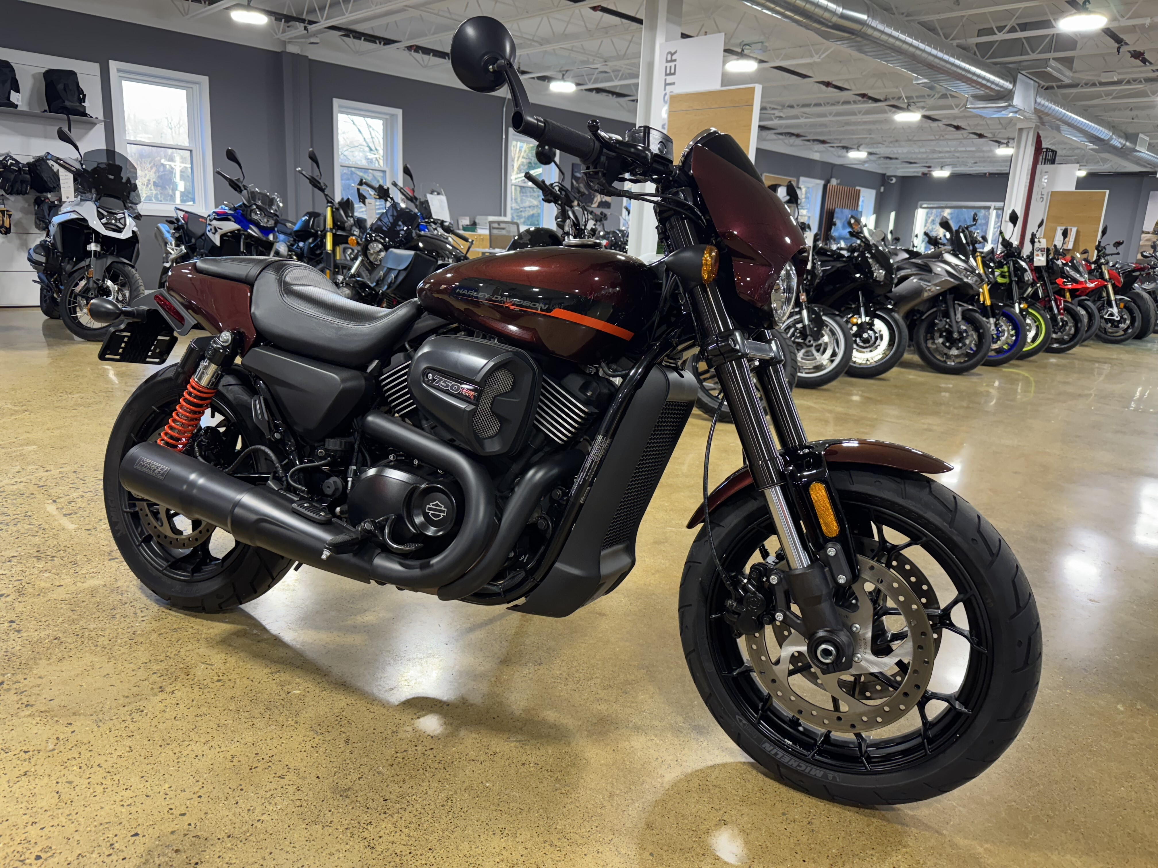 2019 Harley-Davidson Street Rod® in Bala Cynwyd, PA