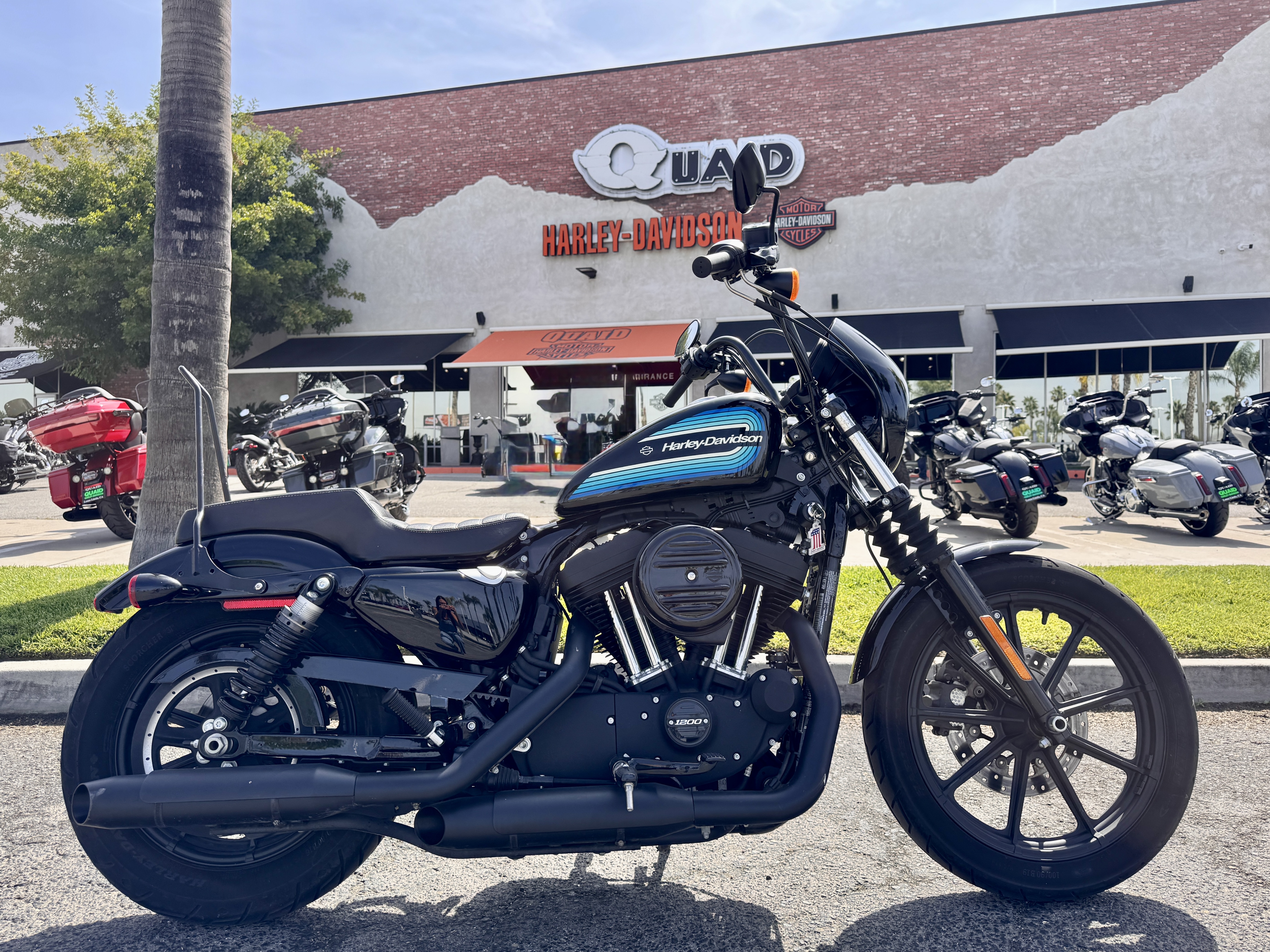 2019 Harley-Davidson SPORTSTER IRON 1200 in Loma Linda, CA