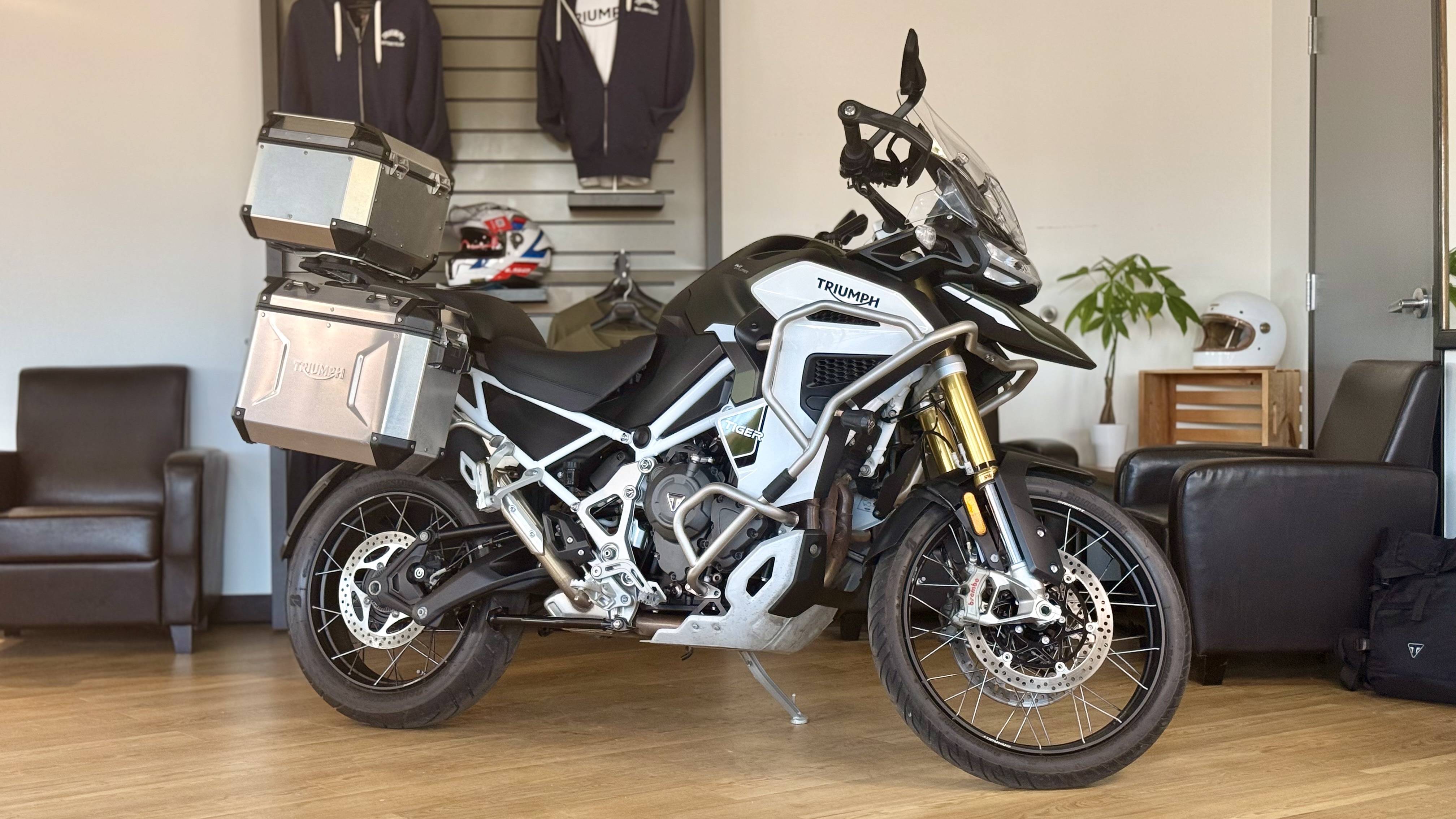 2023 Triumph Tiger 1200 Rally Explorer RALLY EXPLORER in Cleveland, OH