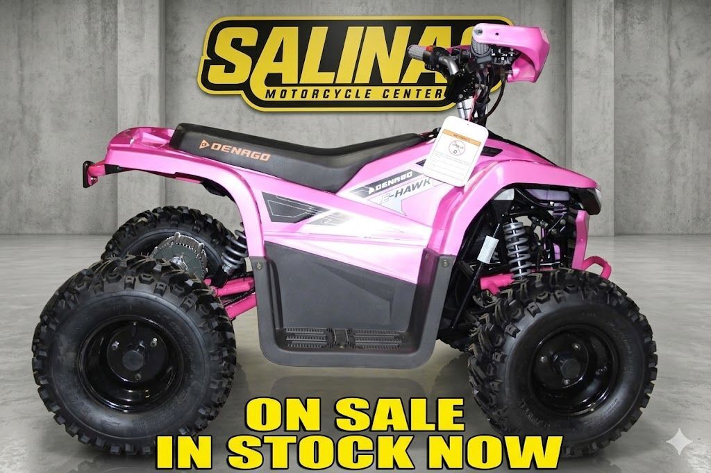 2024 Denago Powersports E-Hawk 6 in salinas CA