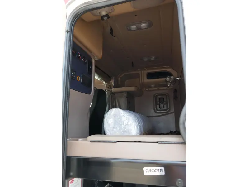 2019 PETERBILT 389