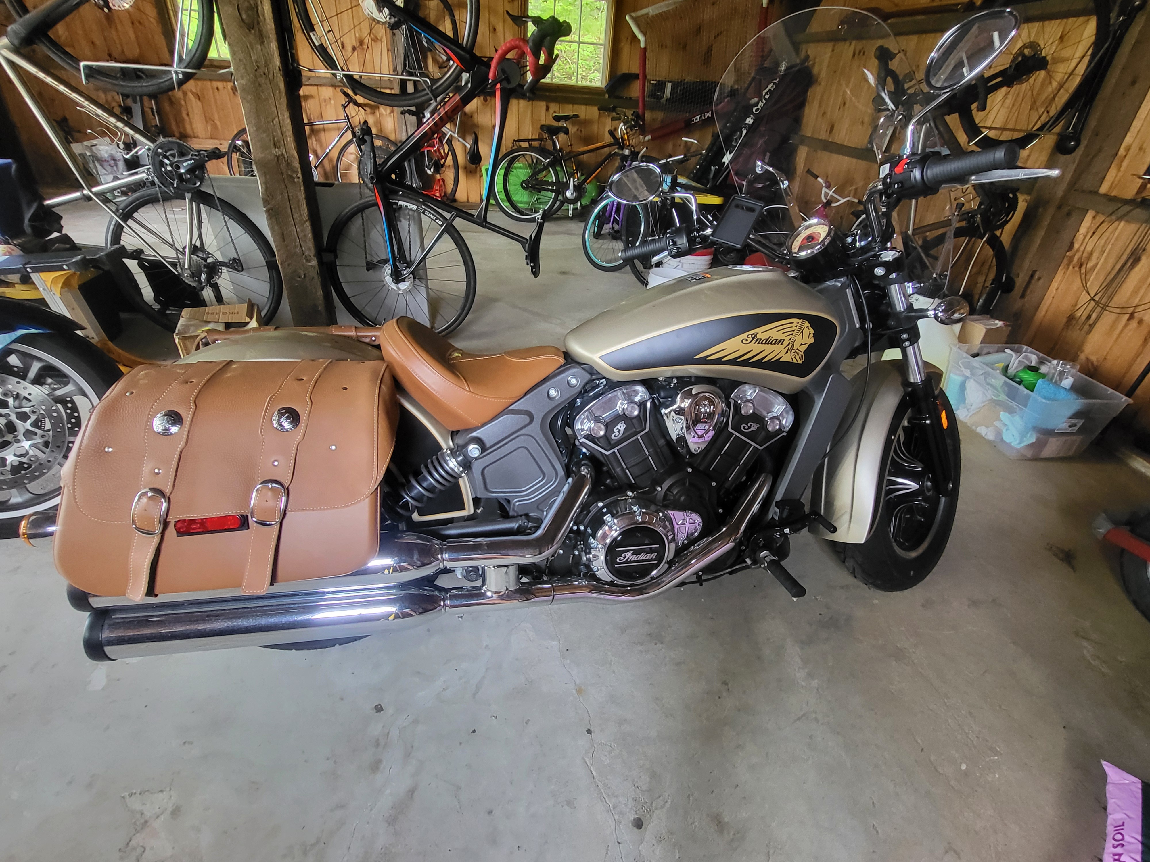 2019 Indian SCOUT ICON ICON in Warren, CT