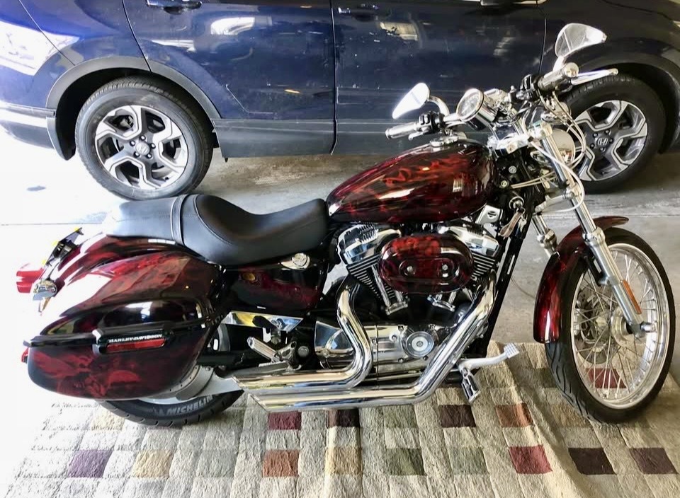 2006 Harley-Davidson SPORTSTER XR1200 XR1200 XR1200 in Watertown, NY