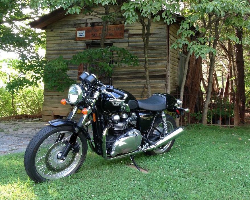 2014 Triumph THRUXTON 900 900 in North Garden, VA
