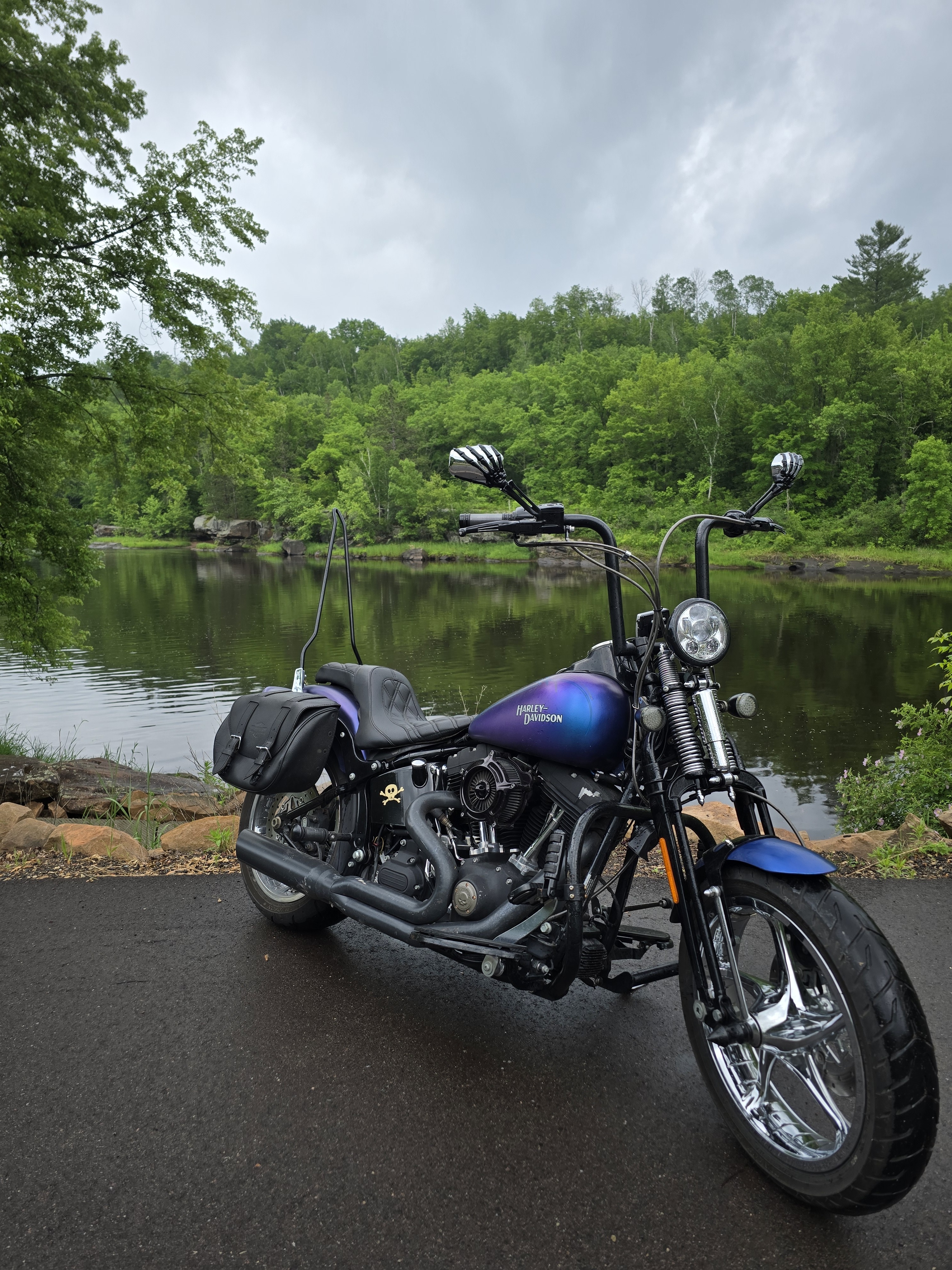 2010 Harley-Davidson SOFTAIL CROSS BONES CROSS BONES in Saint Francis, MN