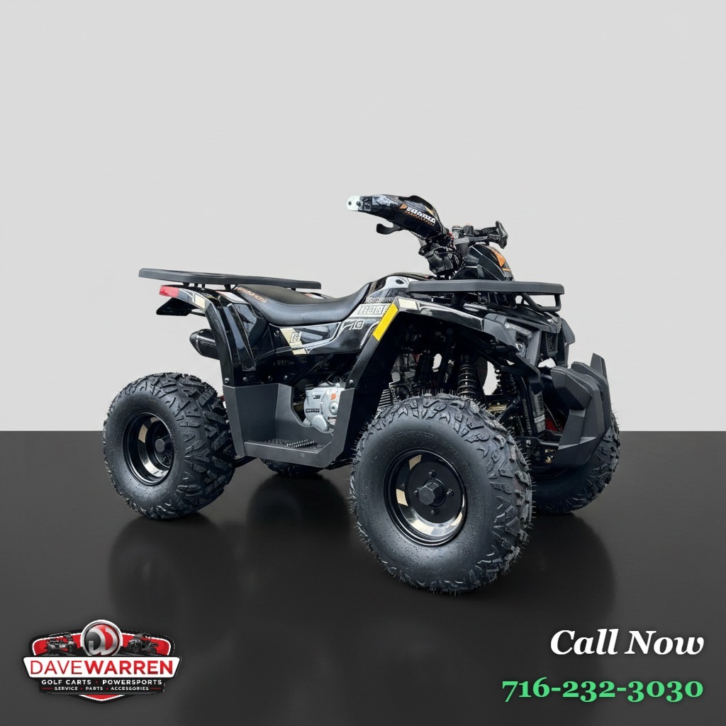 2026 Denago MUDHAWK 10FI in westfield NY