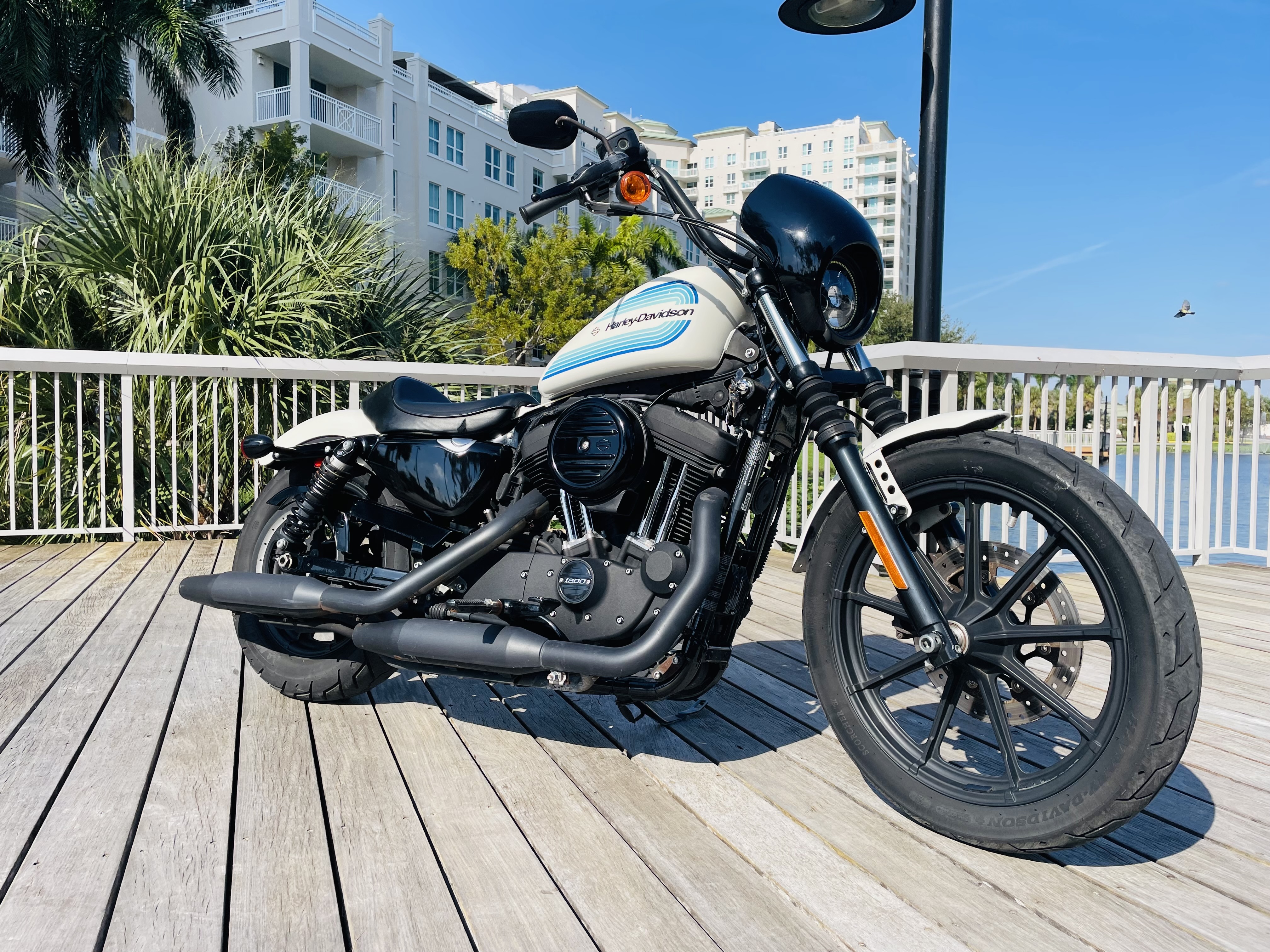 2019 Harley-Davidson SPORTSTER IRON 1200 in Boynton Beach, FL