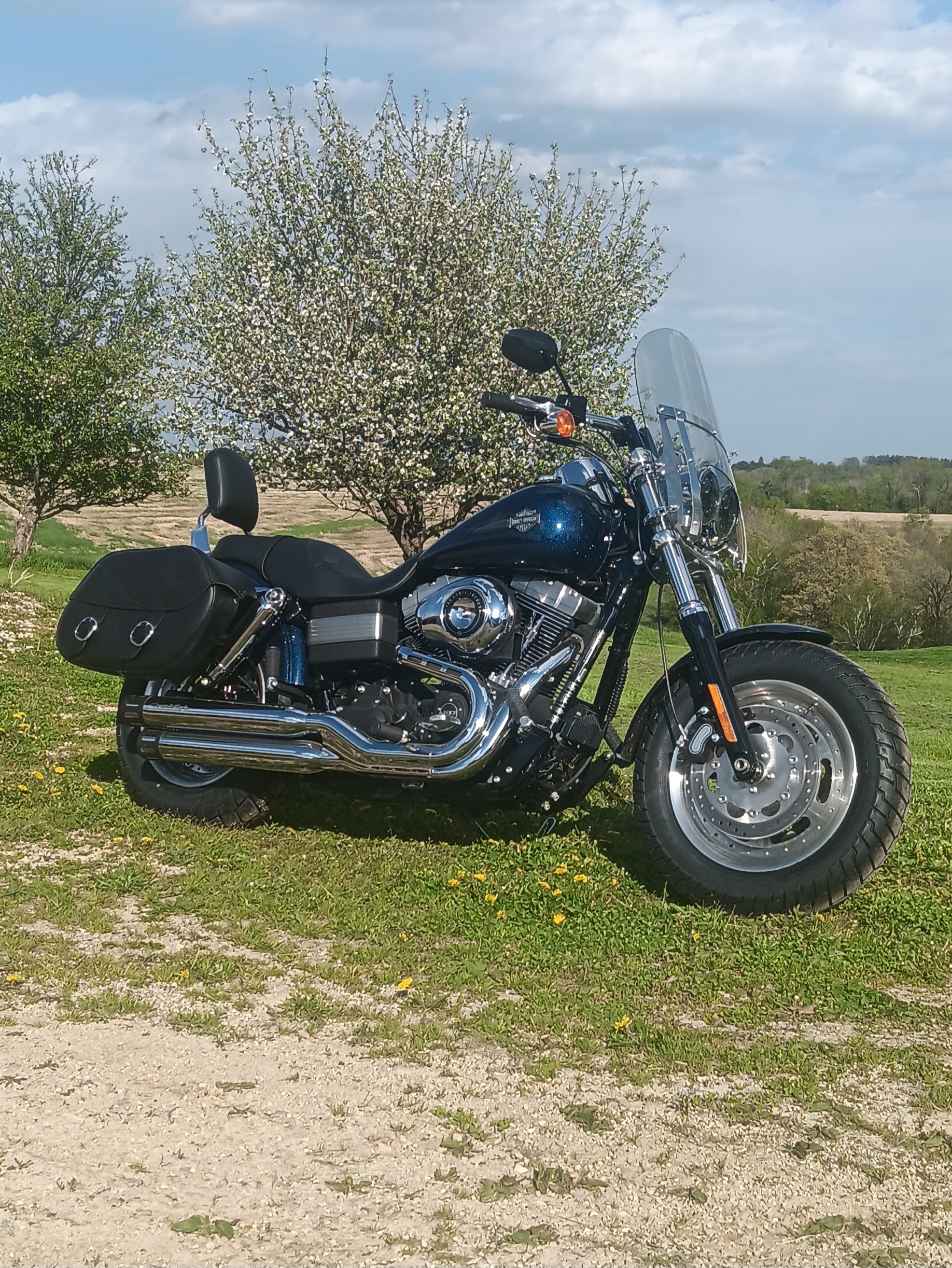 2012 Harley-Davidson FAT BOB DYNA DYNA in La Crescent, MN