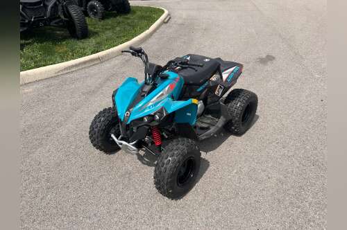 2026 Can-Am Renegade 110 EFI in sidney OH