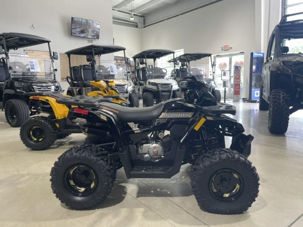 2026 Denago Powersports Mudhawk 10 FI in ocoee FL