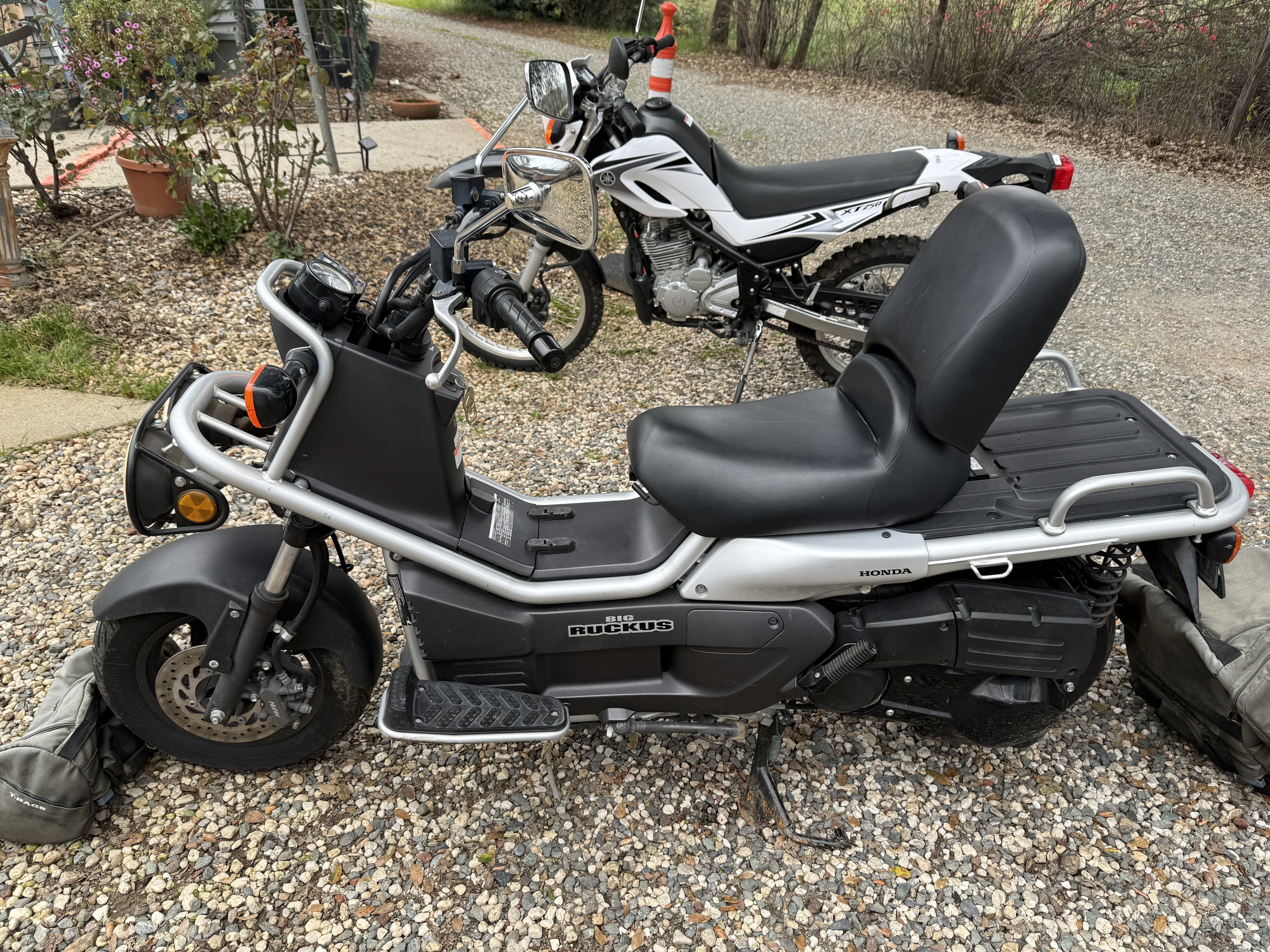 2006 Honda RUCKUS BASE BASE in Penn Valley, CA