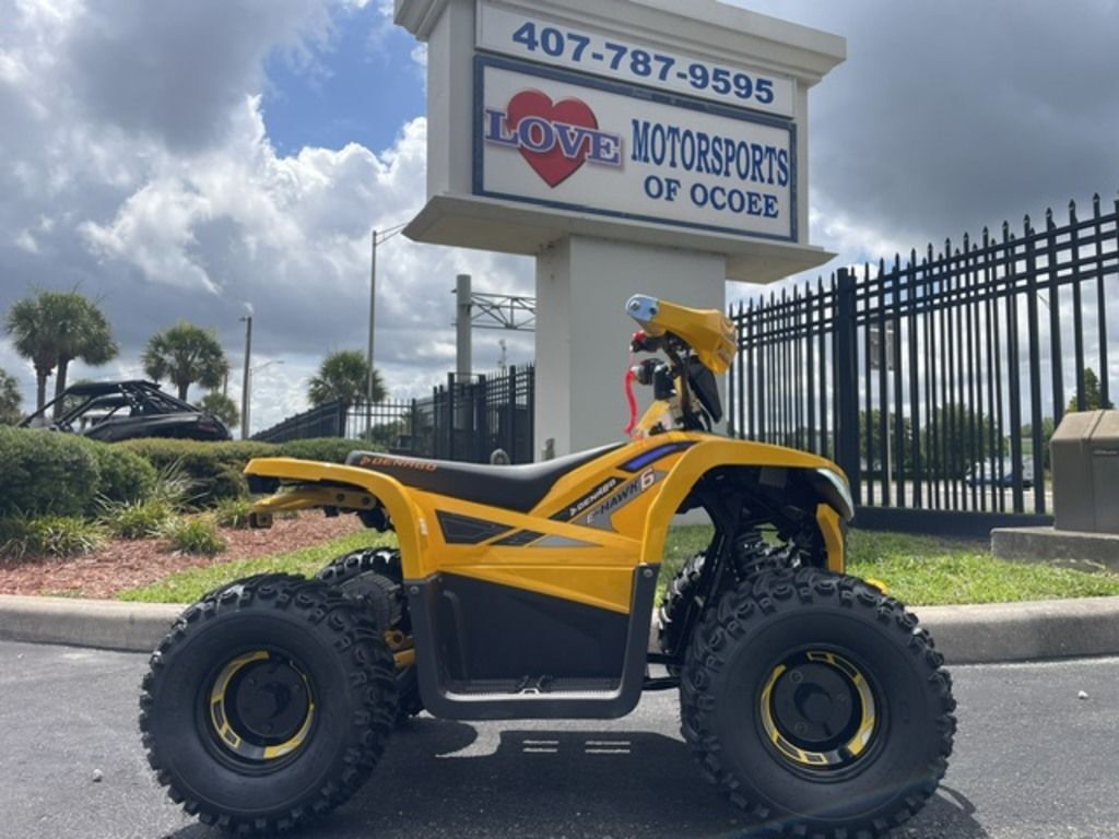 2026 Denago Powersports E-Hawk 6 in ocoee FL