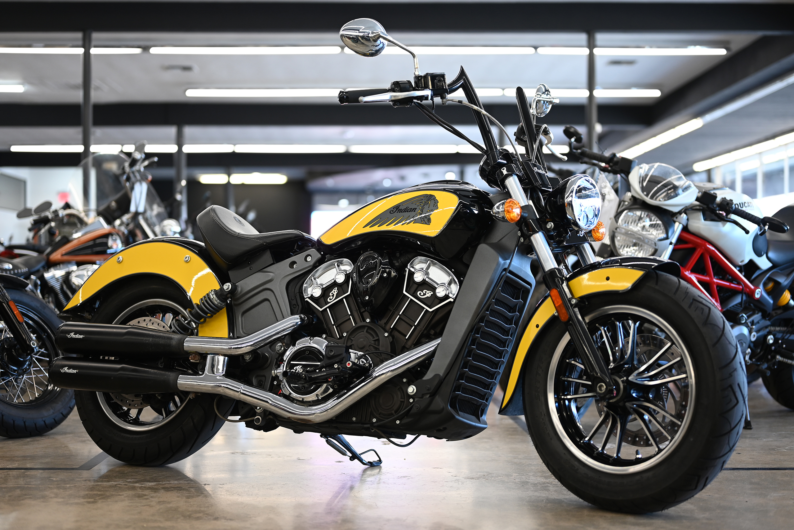 2019 Indian SCOUT ICON ICON in Lemon Grove, CA