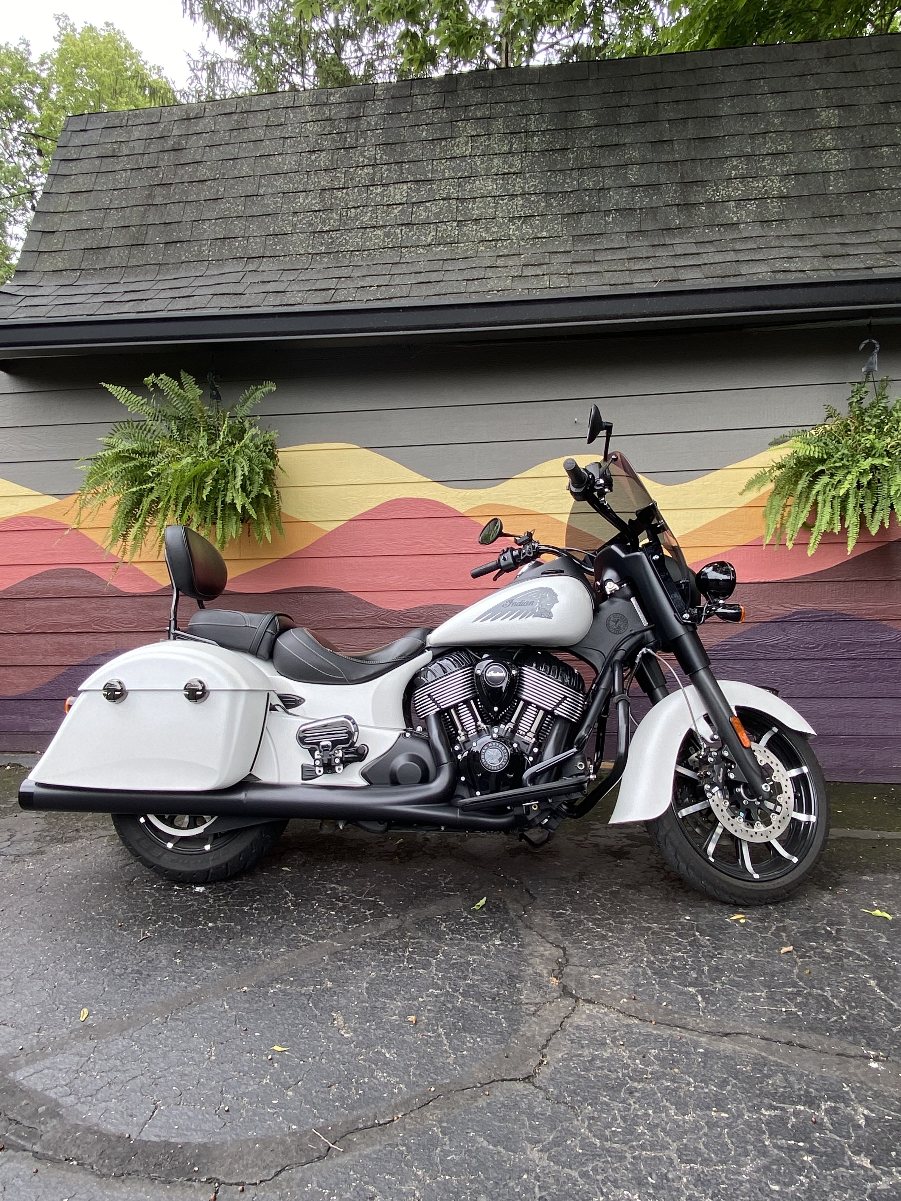 2019 Indian SPRINGFIELD DARK HORSE DARK HORSE in Indianpolis, IN
