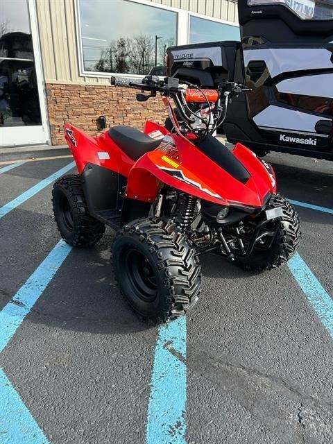 Electric Four Wheelers For Sale in New Jersey - ATV Trader