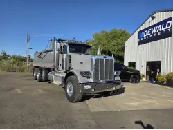 2015 PETERBILT 389
