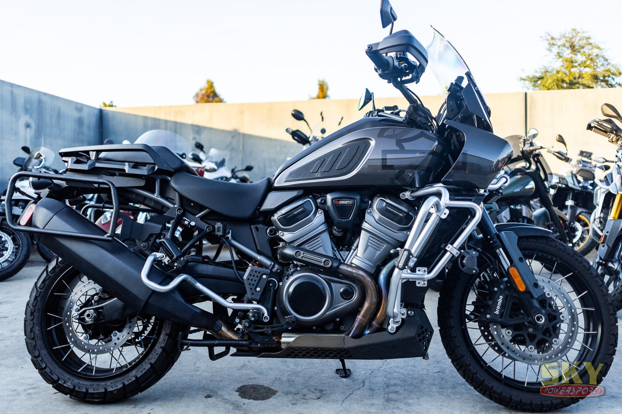 2023 Harley Pan America 1250 Special 1250 SPECIAL in Sanford, FL