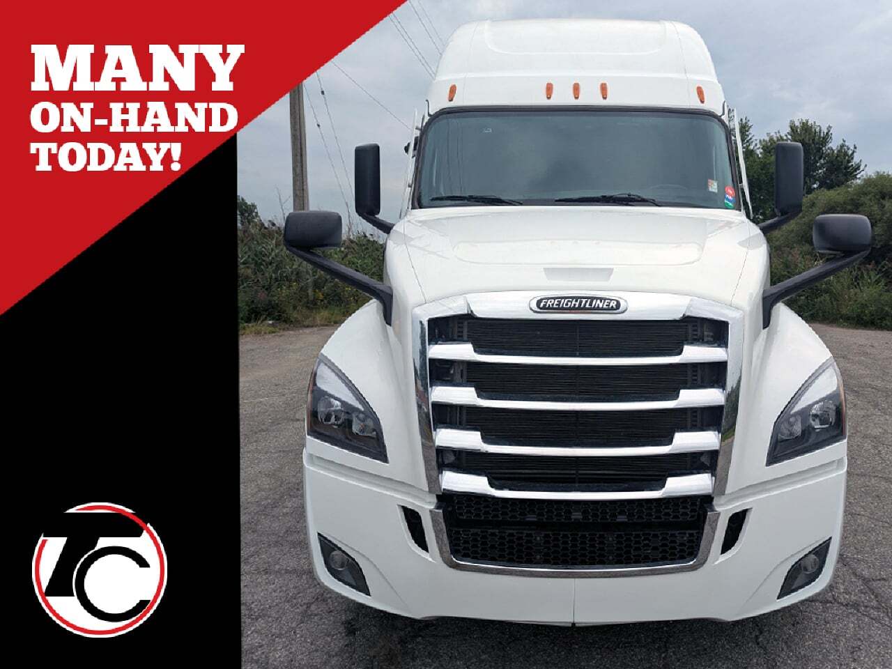 2027 FREIGHTLINER PT126SLP in Elmhurst, IL