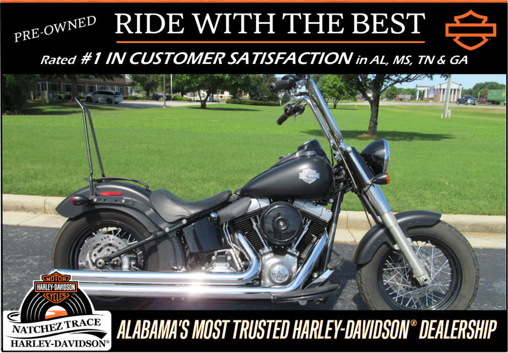 2013 Harley-Davidson® FLS - Softail® Slim SLIM in Tuscumbia, AL
