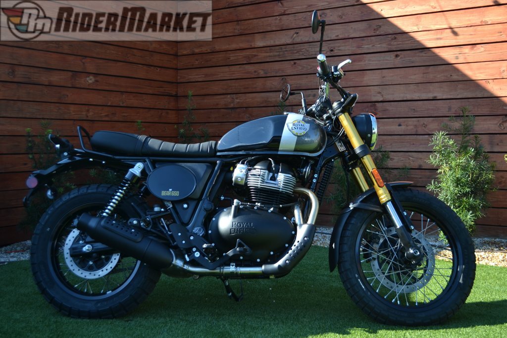 2026 Royal Enfield BEAR 650 650 in Orlando, FL