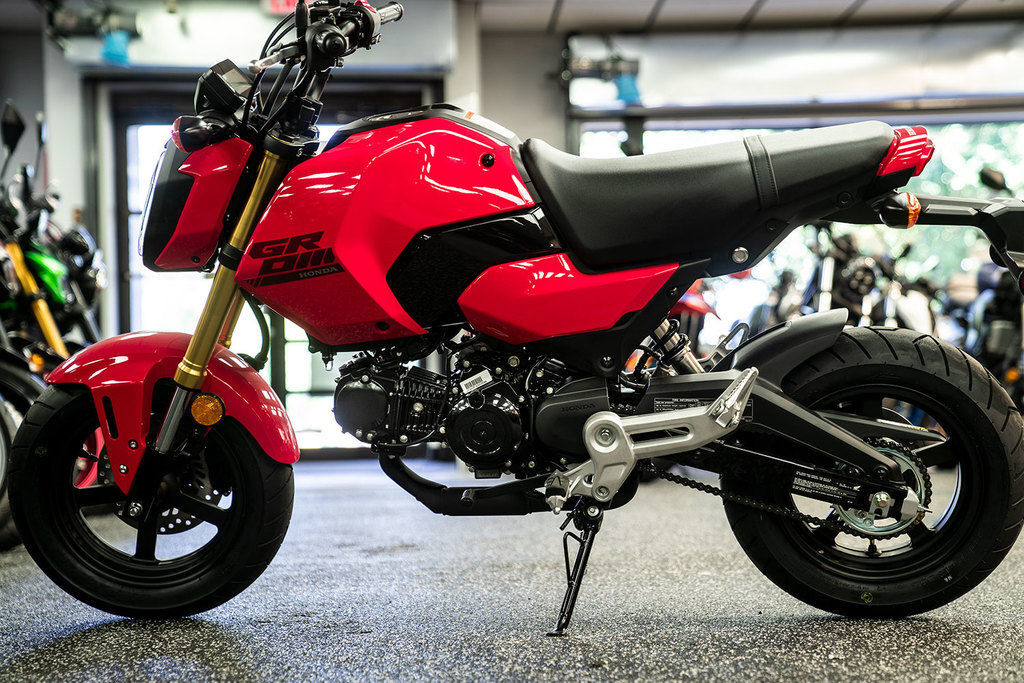 2025 Honda® Grom in Upper Darby, PA