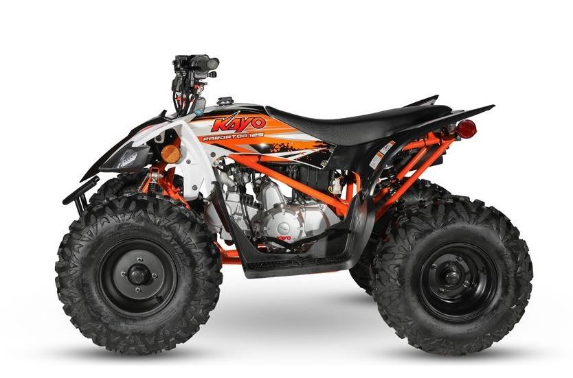 2022 Kayo Predator 125 in monroe WA