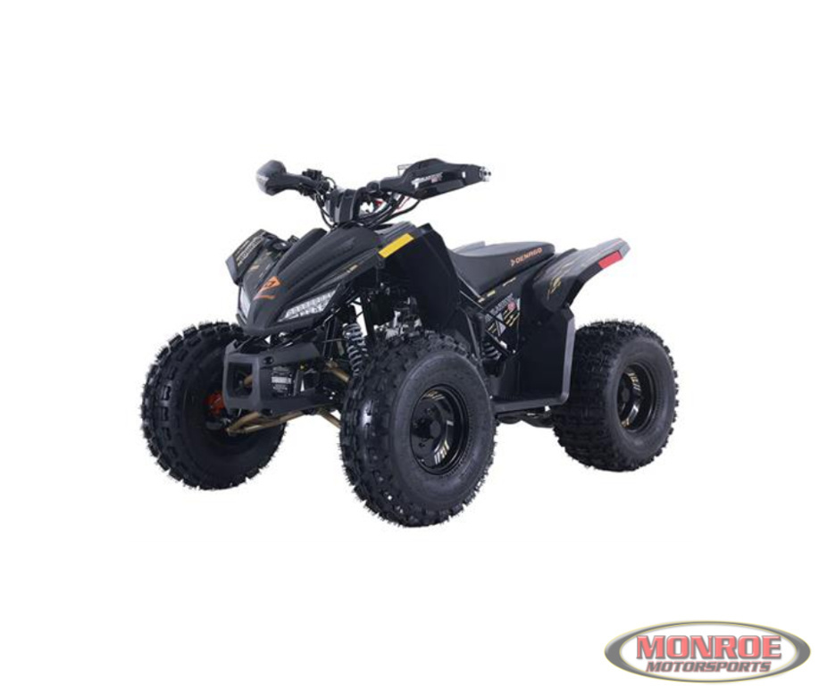 2026 Denago Powersports TRAILHAWK 10 in monroe MI