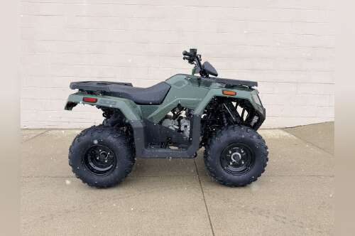 2026 Arctic Cat Alterra 300 4X4 in coldwater MI