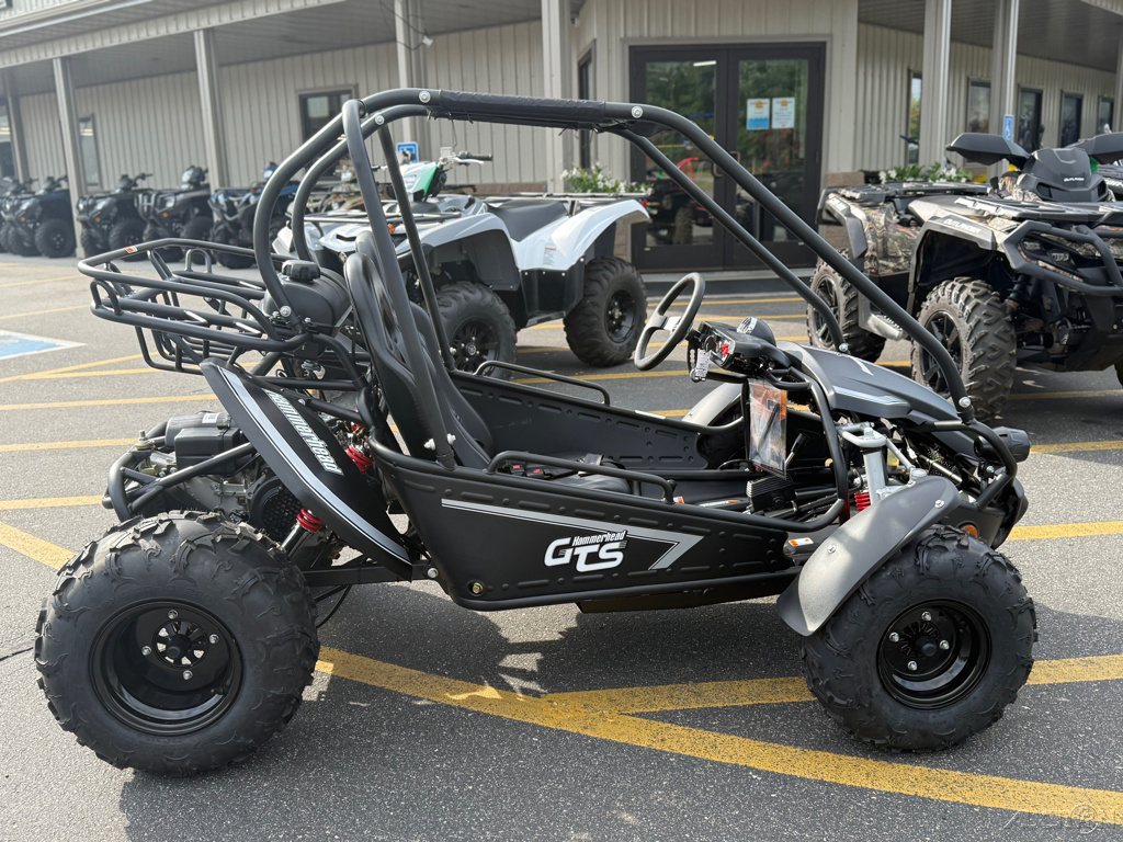 2026 Hammerhead Off-Road GTS150 in grand rapids MN