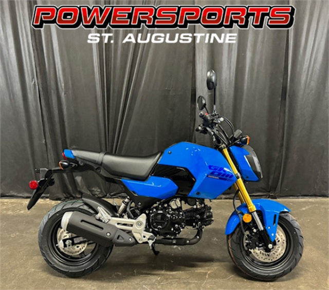 2025 Honda Grom in Saint Augustine, FL