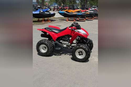 2019 Honda TRX 250X in gainesville FL