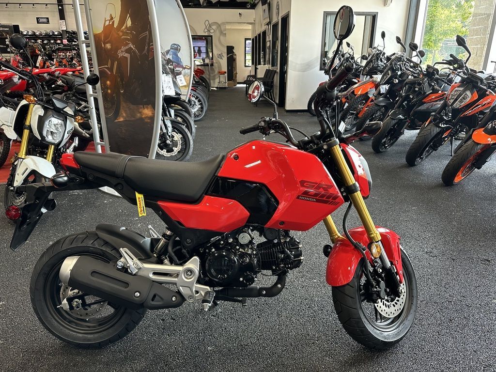 2025 Honda® Grom in Deptford, NJ