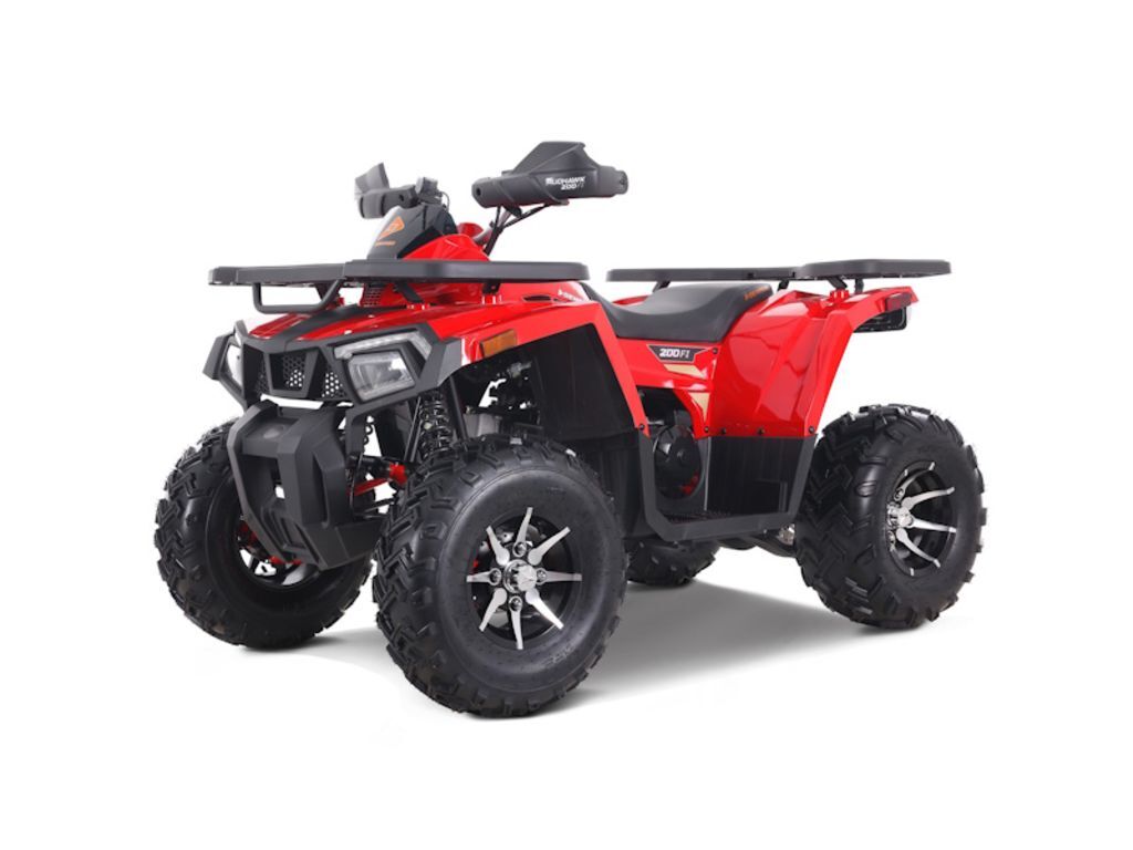 2026 Denago Powersports Mudhawk 200 FI in tallahassee FL
