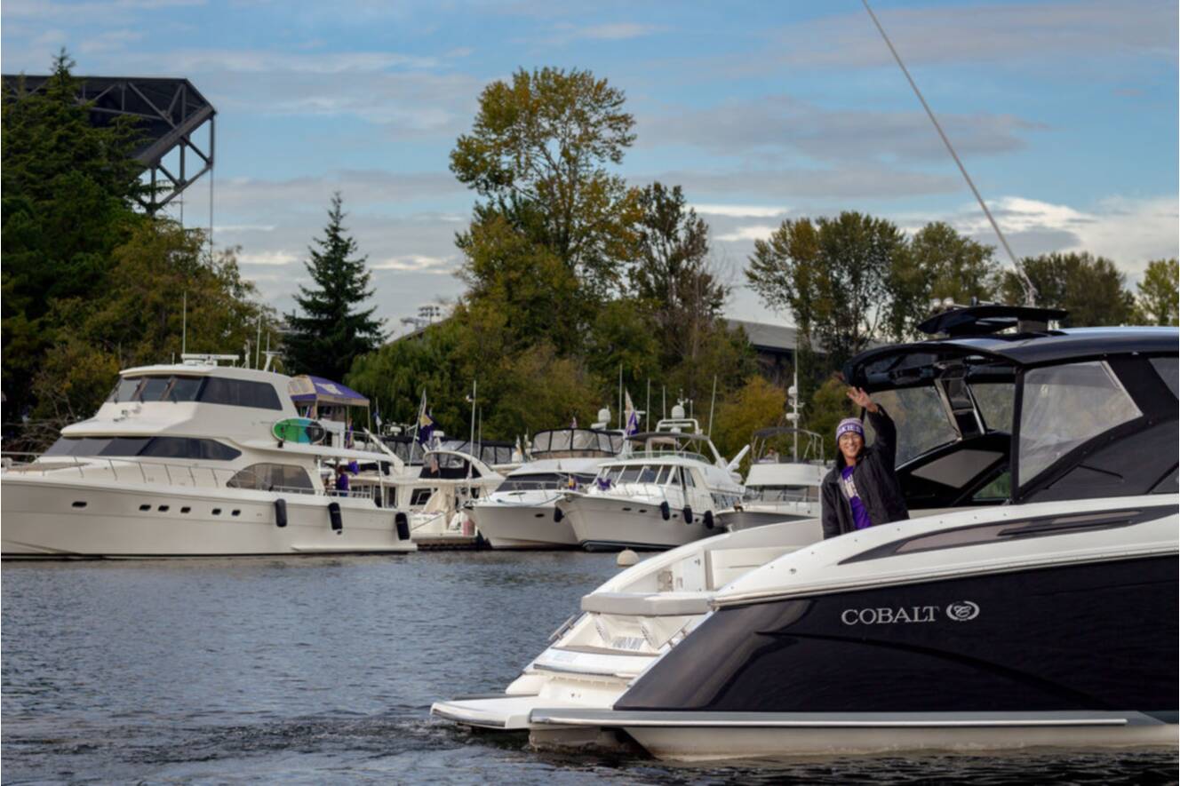 A photo of this 2019 Cobalt Boats A36
