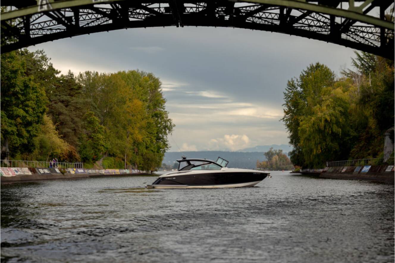 A photo of this 2019 Cobalt Boats A36