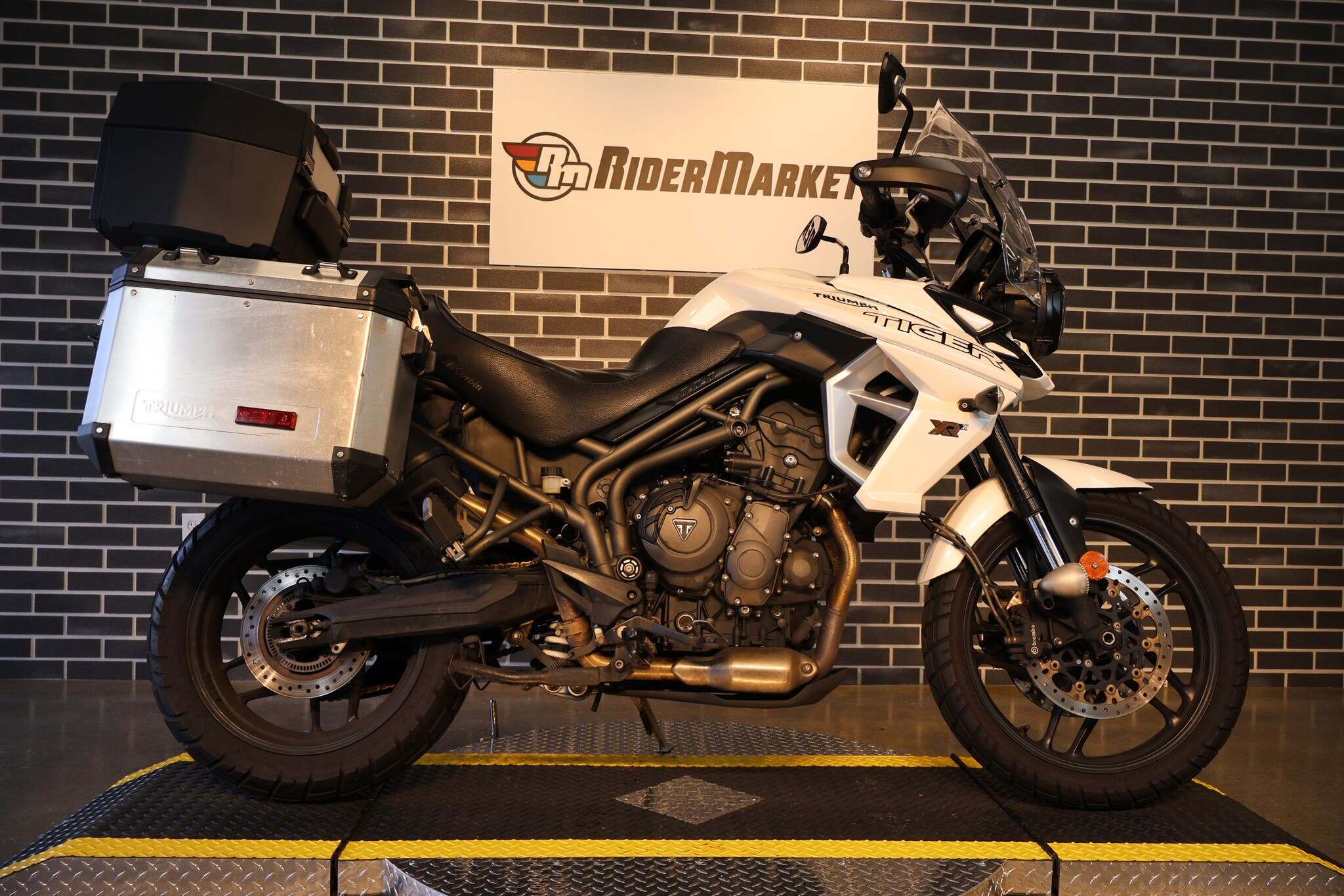 2019 Triumph Tiger 800 800 in Ormond Beach, FL