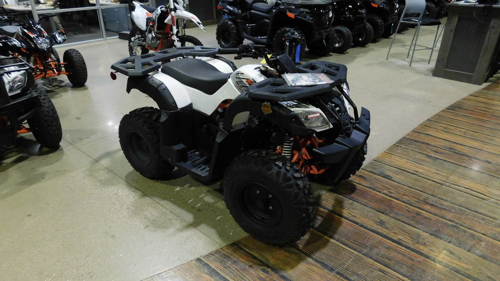 2021 Kayo Bull 180 in kalamazoo MI