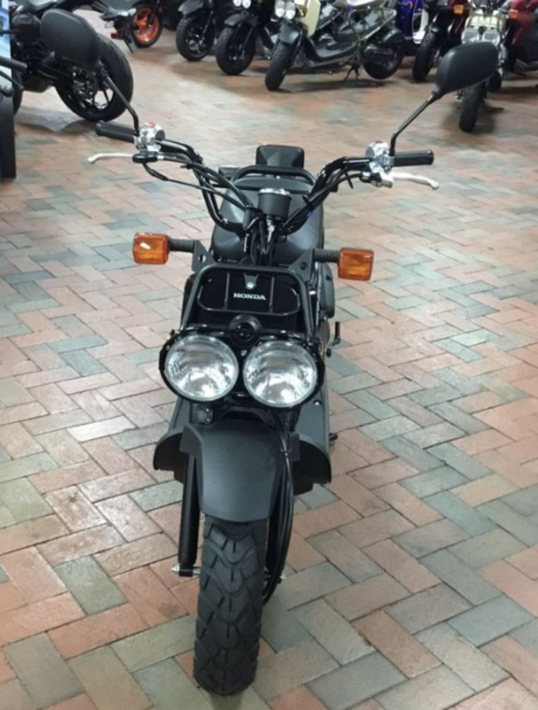 2025 Honda® Ruckus in Charlotte, NC