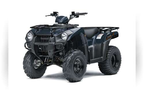 2025 Kawasaki Brute Force® 300 in virginia beach VA