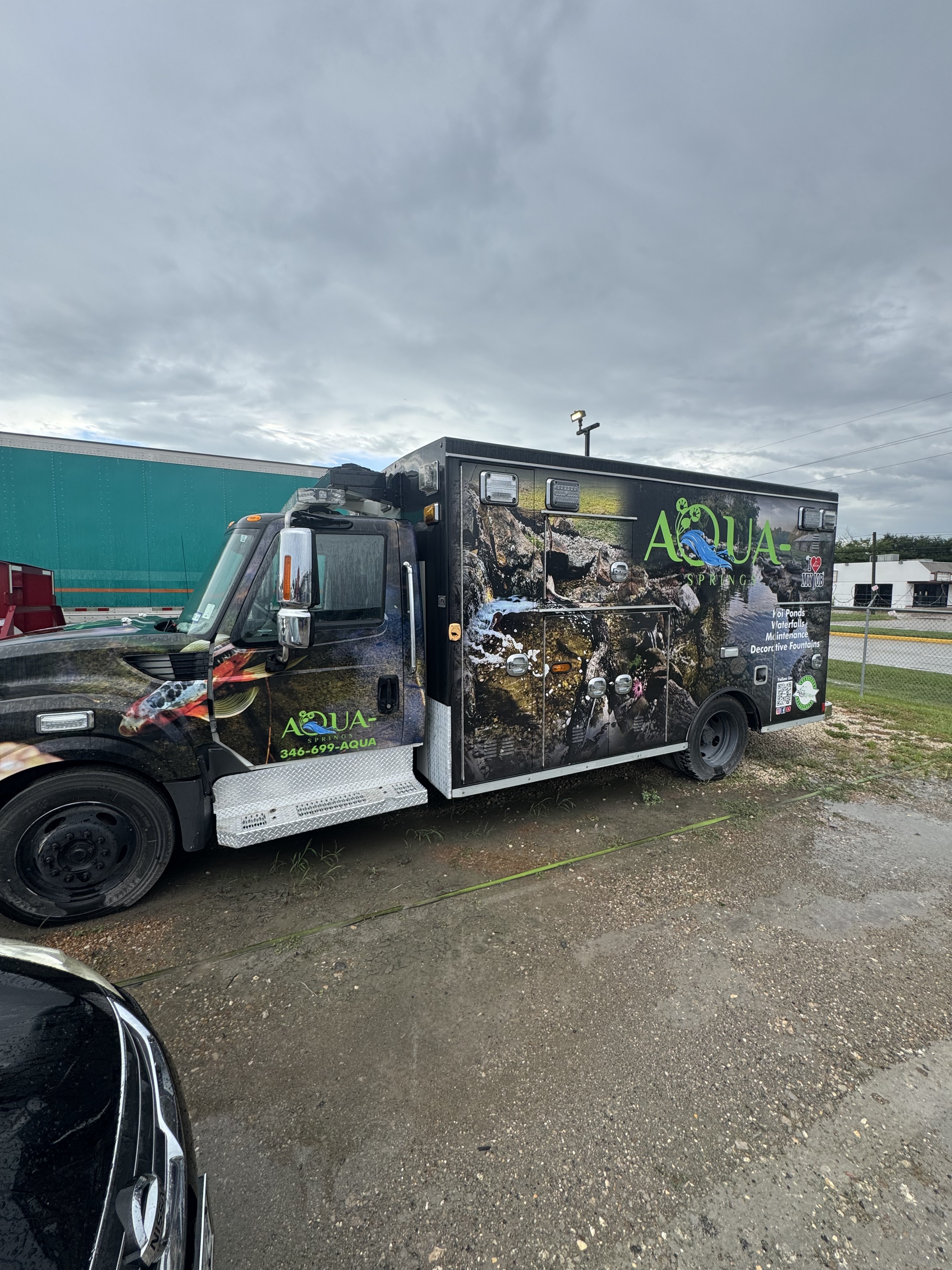 2015 INTERNATIONAL TERRASTAR SFA 4X2 SFA 4X2 in Houston, TX