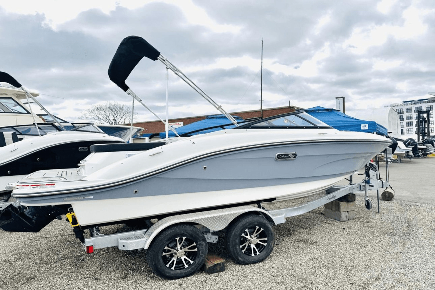 2024 Sea Ray 19 SPX 230 OUTBOARD in jefferson NJ