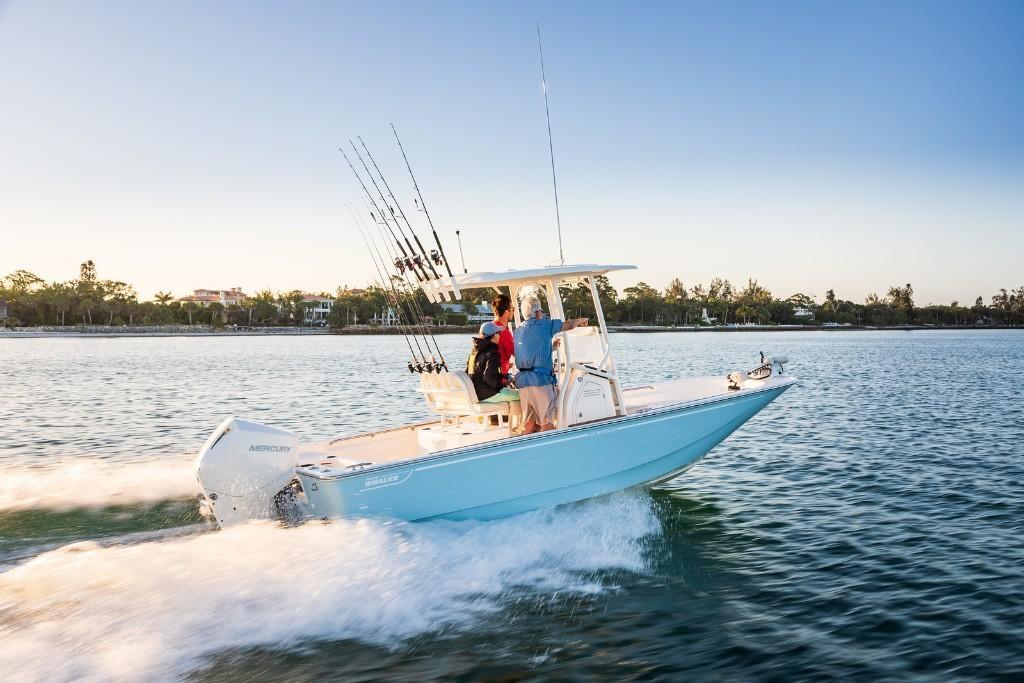 2026 Boston Whaler 210 Montauk in naples FL