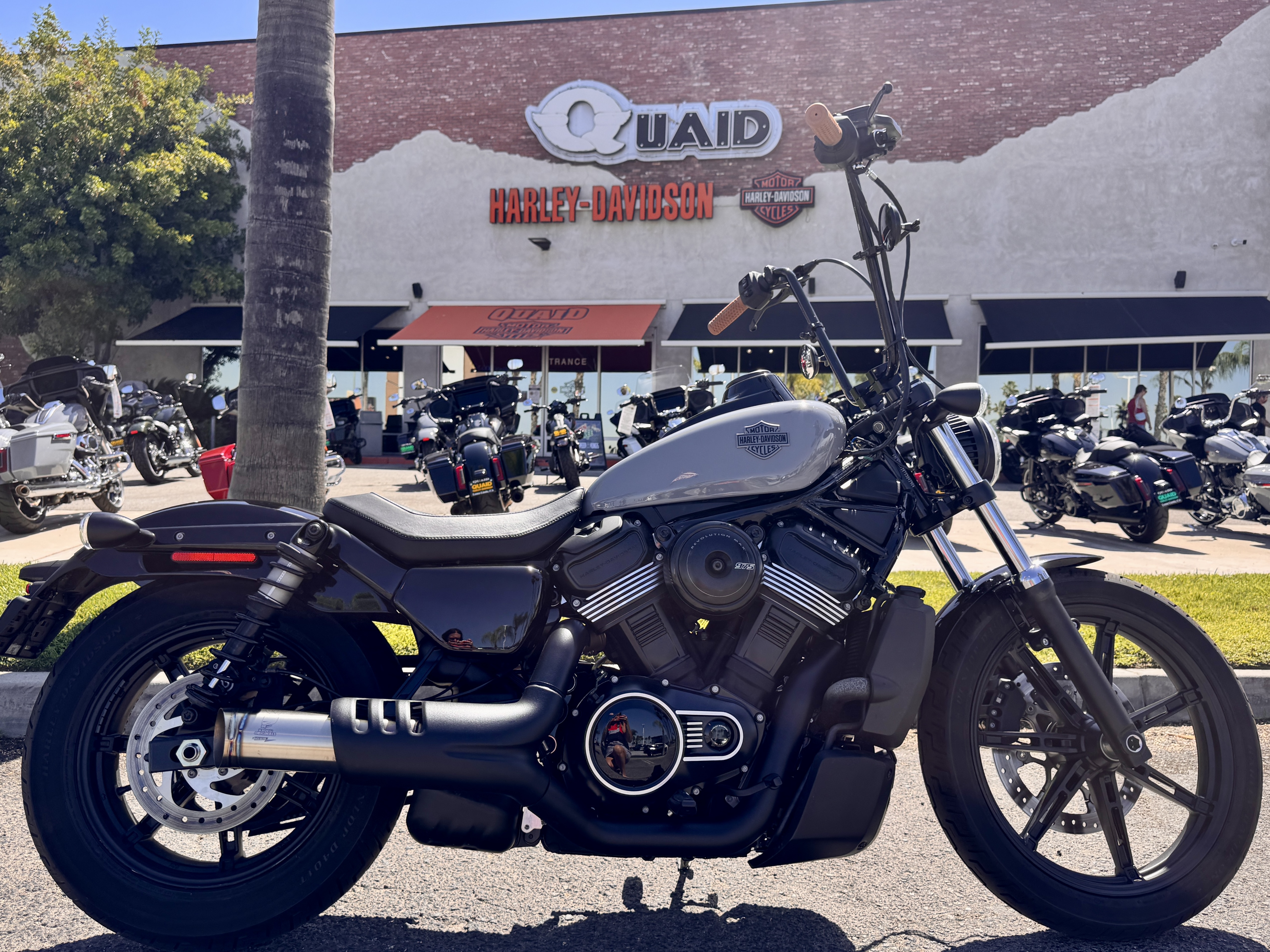 2026 Harley-Davidson NIGHTSTER in Loma Linda, CA