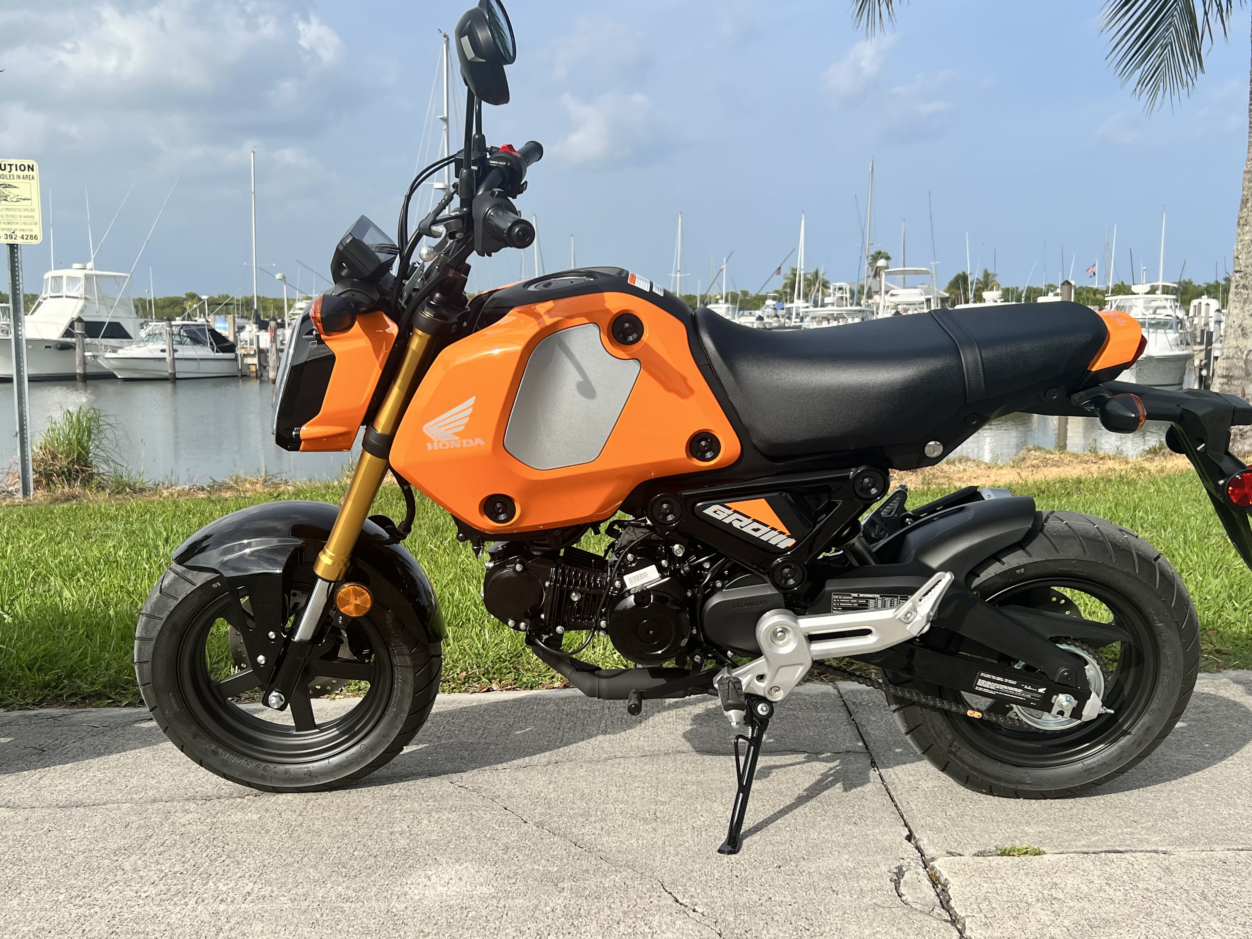 2024 Honda GROM 125 125 in Cutler Bay, FL
