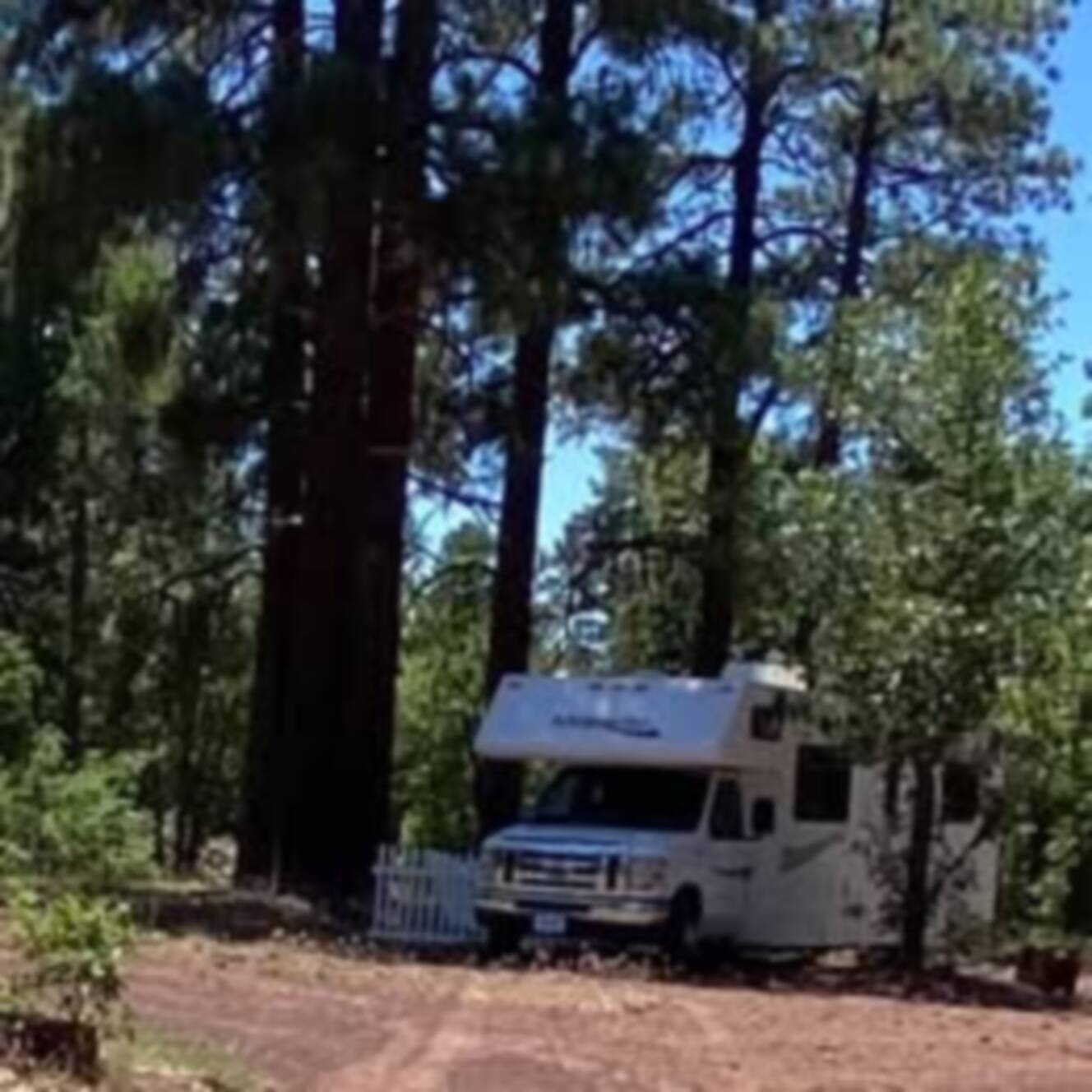 A photo of this 2018 Thor Motor Coach FOUR WINDS MAJESTIC 28A
