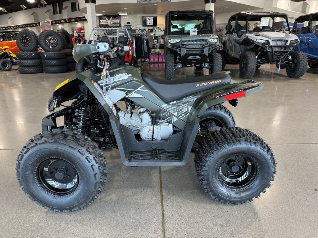 2026 Denago Powersports Trailhawk 10FI in apache junction AZ