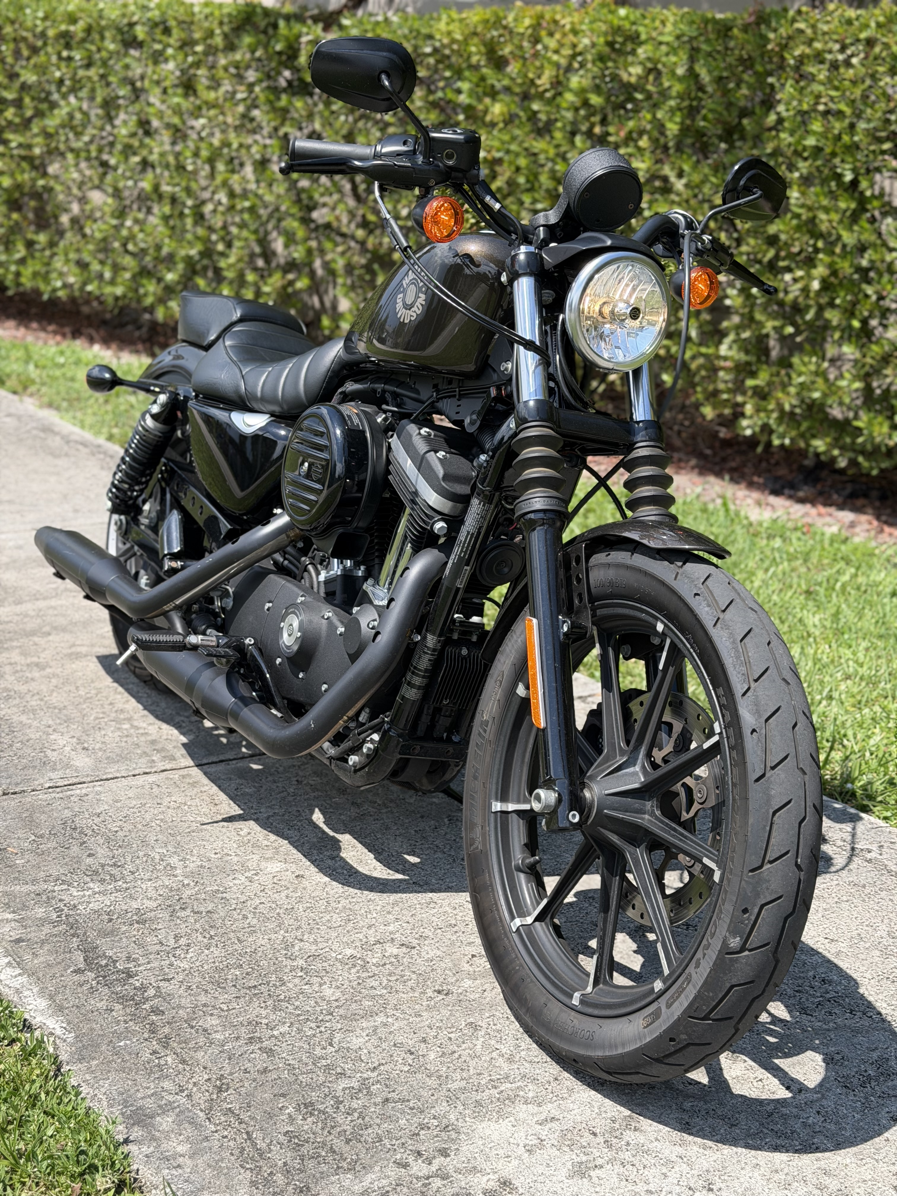 2020 Harley-Davidson XL883N Sportster Iron 883 IRON in Hollywood, FL