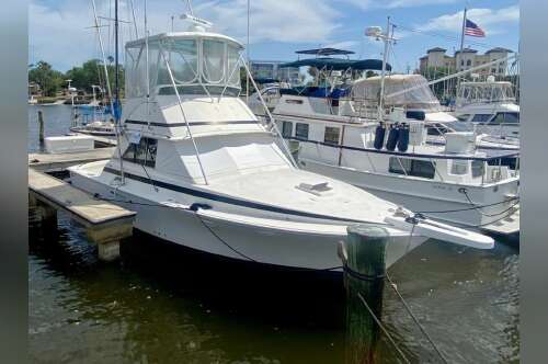 1974 Bertram in melbourne FL
