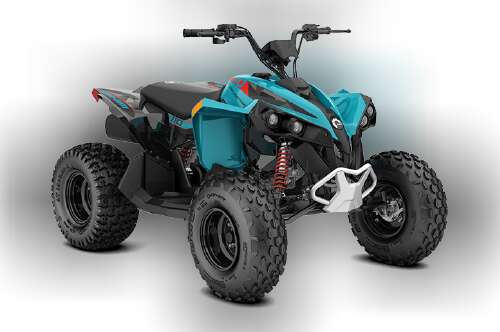 2026 Can-Am RENEGADE 110 EFI in andalusia AL